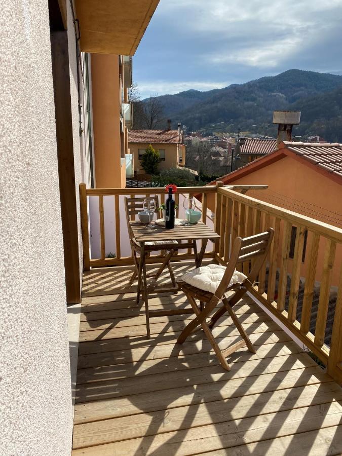 Apartamento Acogedor Sant Joan de les Abadesses Buitenkant foto